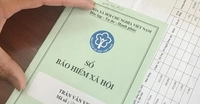 Guidelines on social insurance contribution for household business owners from July 1, 2025