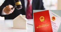Chủ tịch UBND cấp xã phê duyệt phương án đấu giá quyền sử dụng đất từ 15/8/2025
