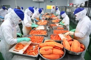 Hướng dẫn thực hiện kiểm tra Nhà nước về ATTP với thực phẩm xuất đi EU