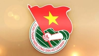 Ban Bí thư hướng dẫn số lượng Phó Bí thư đoàn xã, phường, đặc khu