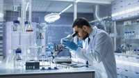 Policies issued to attract experts in science, technology, innovation, digital transformation