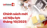 Chính sách mới có hiệu lực tháng 10/2025