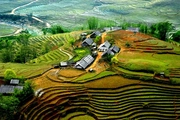 Tiêu chí xác định thôn, xã, tỉnh vùng đồng bào dân tộc thiểu số và miền núi từ 01/12/2025