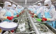 Government defines key tasks to achieve socio-economic targets