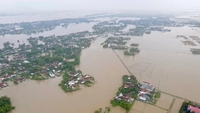 Hỏa tốc: Khẩn trương hỗ trợ người nộp thuế bị thiệt hại do bão lũ