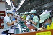 Quy định về 5 nhóm thông tin đăng ký lao động từ 01/01/2026