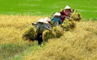 Bộ Tài chính trả lời kiến nghị về hỗ trợ đóng BHXH tự nguyện cho nông dân
