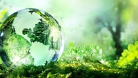 Danh mục, lộ trình sửa đổi, ban hành văn bản về môi trường giai đoạn 2025-2031