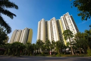 Property to be granted e-identification codes from March 1