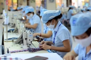 TP HCM yêu cầu hoàn thành khảo sát tình hình lao động trước 06/02/2026