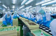 10 trường hợp được miễn kiểm tra Nhà nước về ATTP đối với một số thực phẩm nhập khẩu