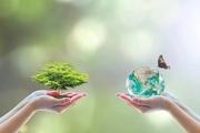 Đã có Bảng giá tính thuế tài nguyên tại TP HCM từ ngày 10/02/2026 
