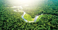 Domestic carbon exchange makes debut