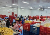 New decree spells out incentives for private sector development