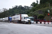 Cục Hải quan ban hành 3 Công văn hỏa tốc về kiểm tra thực phẩm nhập khẩu