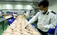 Yêu cầu tạm thời áp dụng cơ chế kiểm dịch cũ, tránh ách tắc hàng động vật, thủy sản nhập khẩu