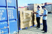 Yêu cầu thông quan 24/7, xử lý ngay vướng mắc kiểm tra thực phẩm nhập khẩu dịp cao điểm Tết
