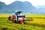 List of special-purpose machinery serving agricultural production to 5% VAT from December 31, 2025