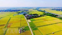 Thủ tục hành chính bị bãi bỏ lĩnh vực đất đai từ ngày 02/02/2026