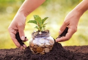 Cục Thuế hướng dẫn xử lý tiền thuê đất đối với dự án xã hội hóa