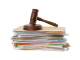 The English translation of Law Amending and Supplementing the Law on Judicial Records has been published