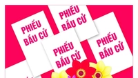 Khởi động cuộc thi trực tuyến tìm hiểu bầu cử Quốc hội, HĐND từ 27/02/2026
