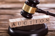 Enforcers may request suspension or termination of asset auctions