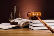 Kế hoạch hoạt động 2026 của Ban Chỉ đạo: Rà soát, xử lý vướng mắc pháp luật