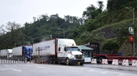 Thông báo 141/TB-VPCP: Tiếp tục ngưng thực hiện Nghị định 46/2026/NĐ-CP về an toàn thực phẩm