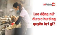 Lao động nữ trong doanh nghiệp được hưởng quyền lợi nào?