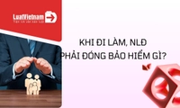 Các loại bảo hiểm khi đi làm phải đóng: NLĐ nắm rõ để không bị thiệt