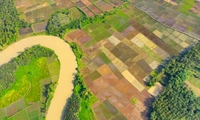 Công văn 3669/BNNMT-QLĐĐ: Đánh giá toàn diện thi hành Luật Đất đai để sửa đổi trong năm 2026
