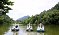 Từ 25/6/2026, đầu tư du lịch trong rừng đặc dụng sai quy định bị phạt tới 50 triệu đồng