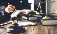 Chậm ban hành Thông tư, Bộ trưởng phải chịu trách nhiệm cá nhân trước Thủ tướng
