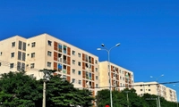 Hà Nội được giao tiên phong phát triển mô hình nhà ở cho thuê quy mô lớn