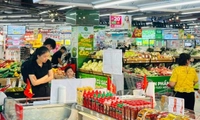 Nghị quyết 141/NQ-CP 2026: Chính phủ thông qua 2 chính sách mới về thương mại