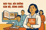 TP HCM: 7 tiêu chí ưu tiên khi xét cử cán bộ, công chức đi đào tạo, bồi dưỡng từ 22/6/2026