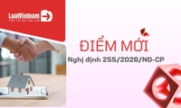 Điểm mới Nghị định 255/2026/NĐ-CP về quản lý thuế với giao dịch liên kết