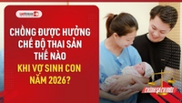 Video: Chế độ thai sản của chồng khi vợ sinh con năm 2026
