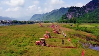 Plan issued to develop agricultural logistics system