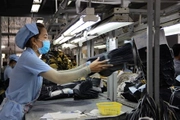 Overview of Decree on administrative penalties in the fields of labor and social insurance