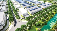 Mẫu số 02/TK-SDDPNN: Tờ khai thuế sử dụng đất phi nông nghiệp (Áp dụng đối với tổ chức)