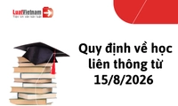Quy định về học liên thông thay đổi thế nào từ 15/8/2026?