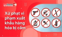 Xuất khẩu hàng hóa bị cấm bị phạt bao nhiêu?