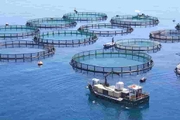 Vietnam sets out plan to become strong maritime nation by 2030