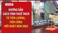 Video: Hướng dẫn cách tính thuế TNCN từ tiền lương, tiền công mới nhất năm 2026