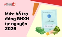 Mức hỗ trợ đóng BHXH tự nguyện bao nhiêu? [Mới nhất]