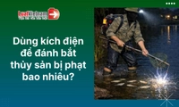 Dùng kích điện để đánh bắt thủy sản bị phạt bao nhiêu?