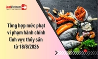 Mức phạt vi phạm hành chính lĩnh vực thủy sản từ 18/8/2026
