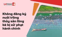 Không đăng ký nuôi trồng thủy sản lồng bè xử lý thế nào?